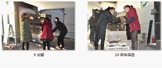 一口氣讀懂大宋定窯(圖41) 一口氣讀懂大宋定窯(圖41)